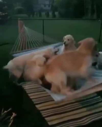 To relax