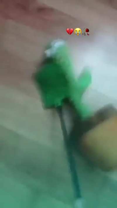 Mals tratos plantinais