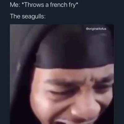 XD