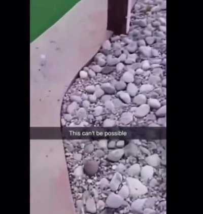 😱