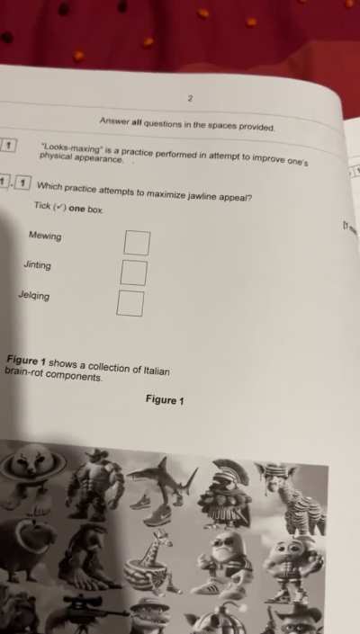 GCSE