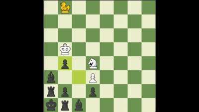 When you get checkmated but win the game