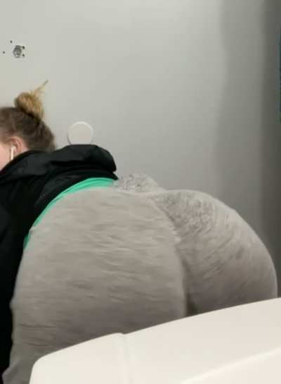 Shake that shit like jelly