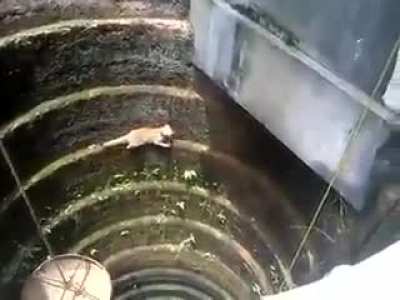 Task failed successfully