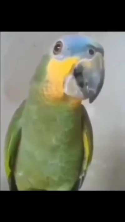 Muito massa visse?