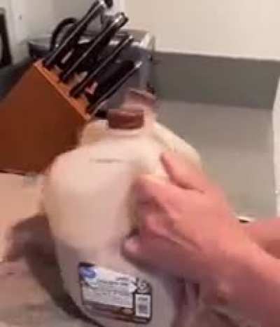 ...cock