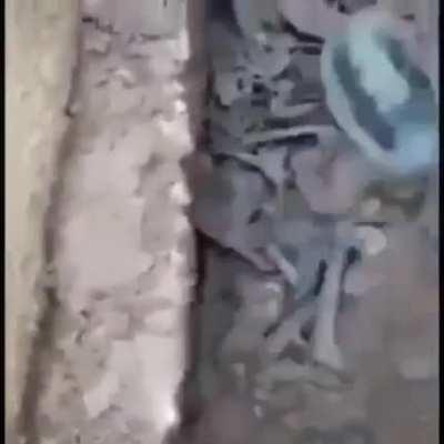 Lan bu kaçak defineciler manyak amk