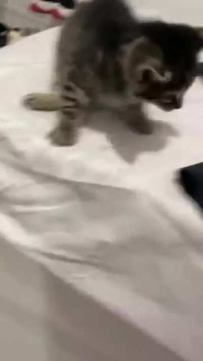 To jump Down
