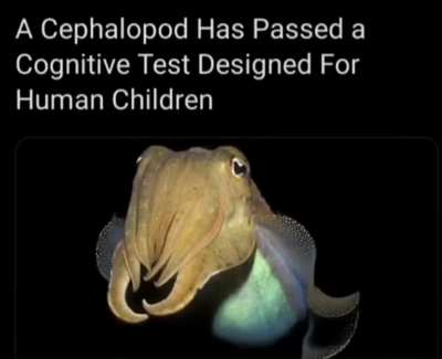 THEY ARE EVOLVING.