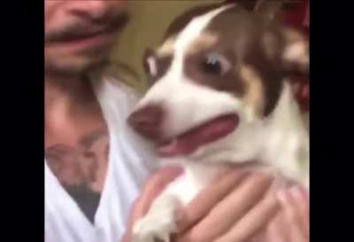 Possessed doggy