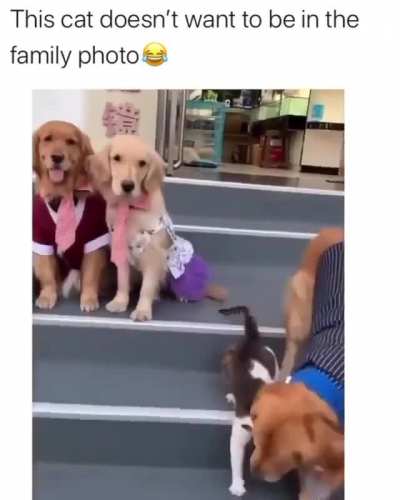 You're part of this family whether you like it or not.