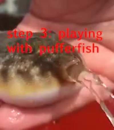 PUFFER FISH PACKAGED MANUAL(first version)