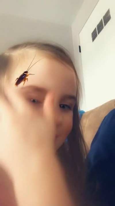 Bug