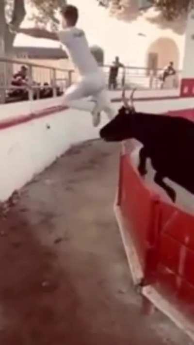 Near miss with bull 😬