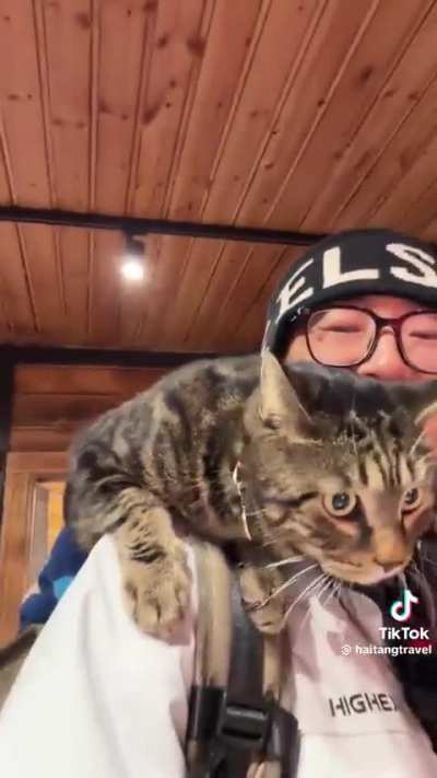 A man travels with his cat to the Arctic Circle for Aurora Borealis