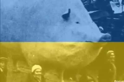 Slava Ukarina