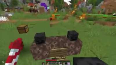 For the Minecraft fans