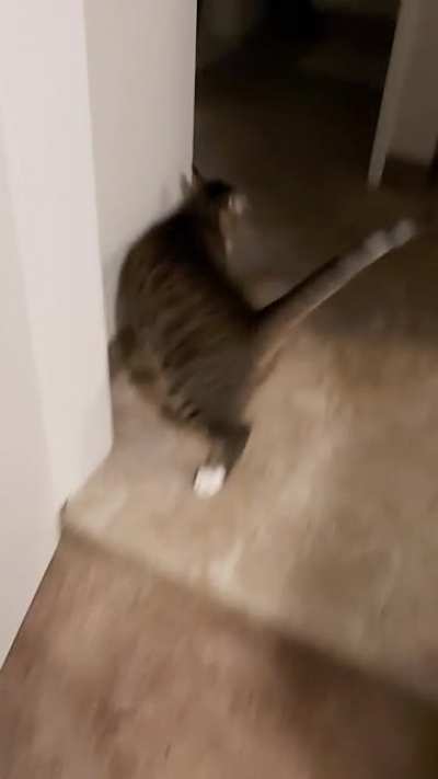 Hemingway getting excited