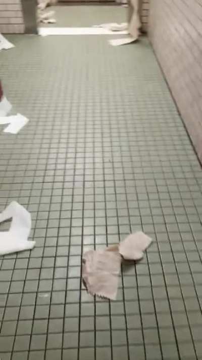 When you leave kids alone in a bathroom...