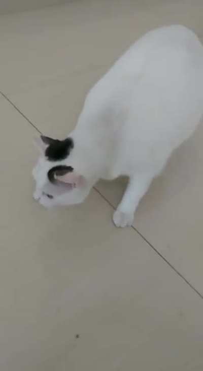 Jump scared
