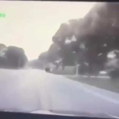 Driver Falls Asleep (from another sub & I don't believe it's been posted here before)