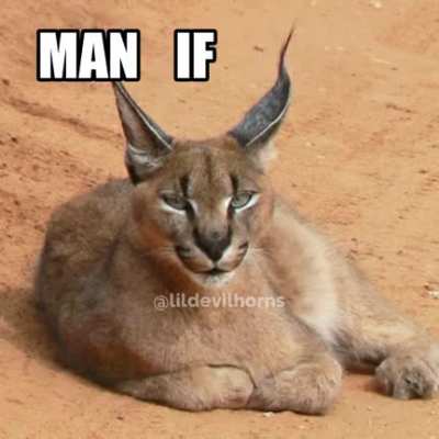 flop out of my head