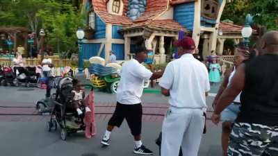 Insane incident at Disneyland.