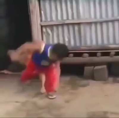 to kick the dog