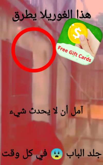 Haram Gorilla 🦍 😱 دير غورلا هوت إينفاش أوف يموت تور 😂 ثم دفع 🤣 (made on mobile)