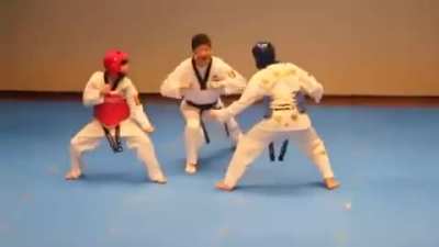 Taekwondo match..