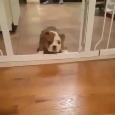 He did try his best though