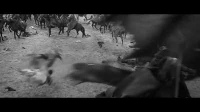 Battle of the Pelennor Fields in Kurosawa mode