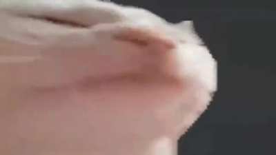 xydpphdgoxjvo
