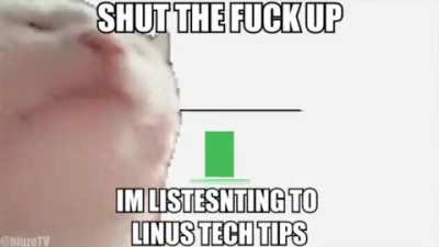 Just posting here to download it