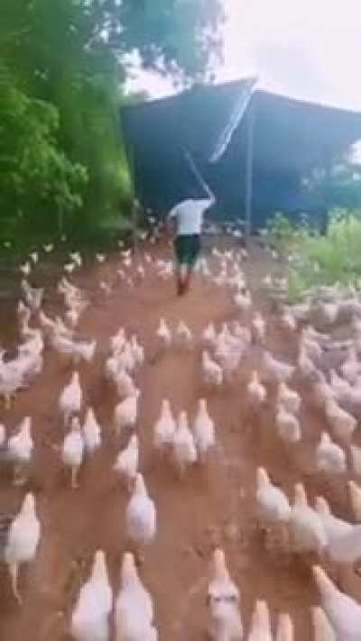 Confiem, isso vai salvar a humanidade