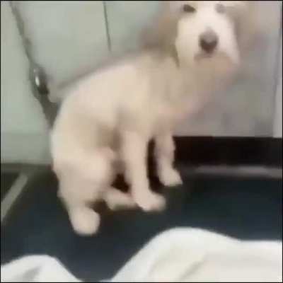 Hola Tomi como estas