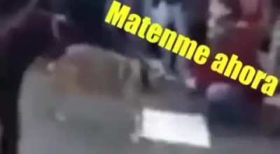 Este es tu idolo? el mio si