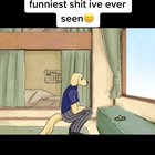 Furry_irl