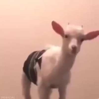 First post