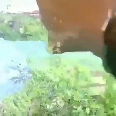 Pov: Paja en ayunas