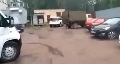 Dog gets stunned by 2-liter