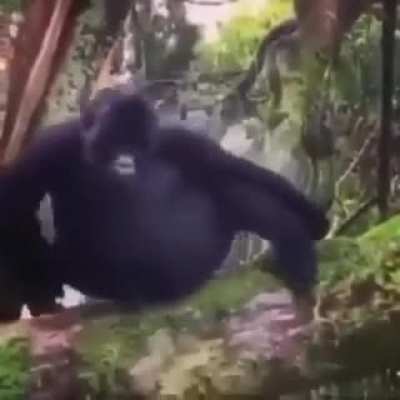 Monke