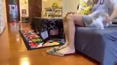 Why human