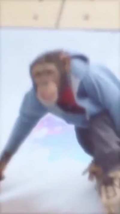 Monkey Skater 🥵🥵🥵🥵