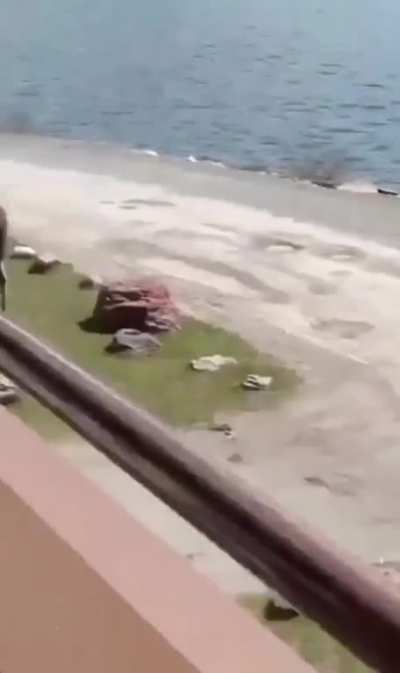 A game of chase