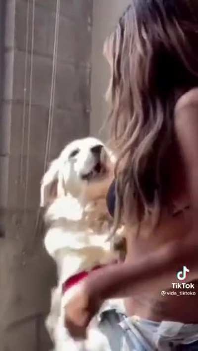 Cute dog