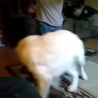 what a move