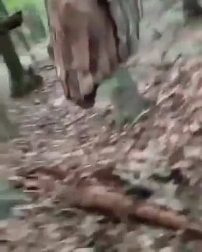 FINISH IT I SAID!!