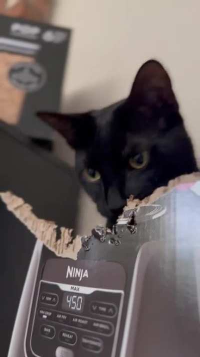 My little vampire loves to chomp on cardboard