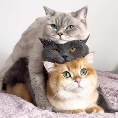 Triple stack